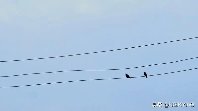 好好生活，慢慢相遇，不着急，去在意那些真正能让你发光的东西，日子总是温柔又闪亮。