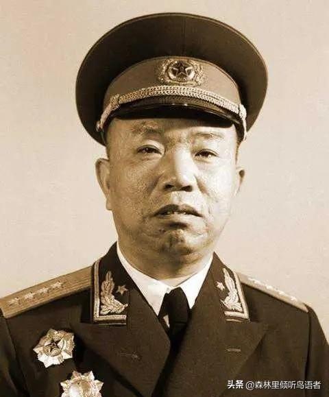1927年，麻城县农协判处恶霸地主丁枕鱼死刑。死到临头，丁枕鱼对王树声大喊：“老