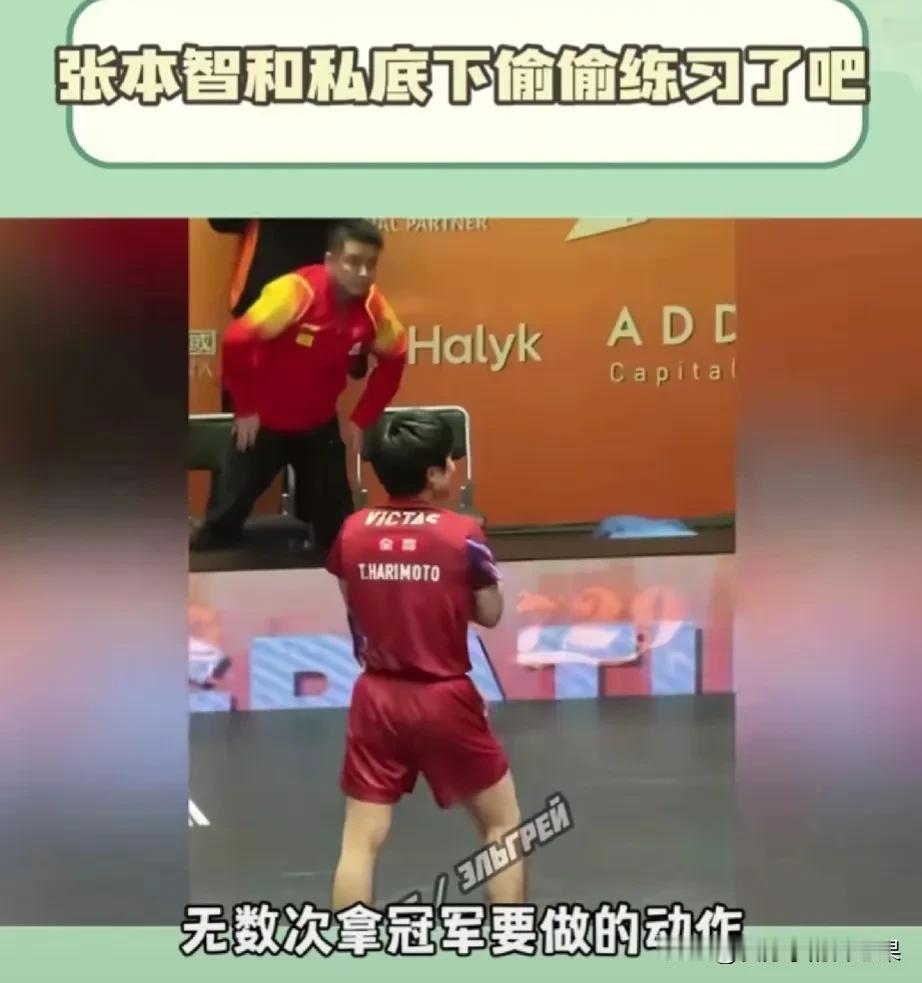 最新亚锦赛，张本智和获得男单冠军

不得不说，这哥们总算是赢了一回，又一次证明了