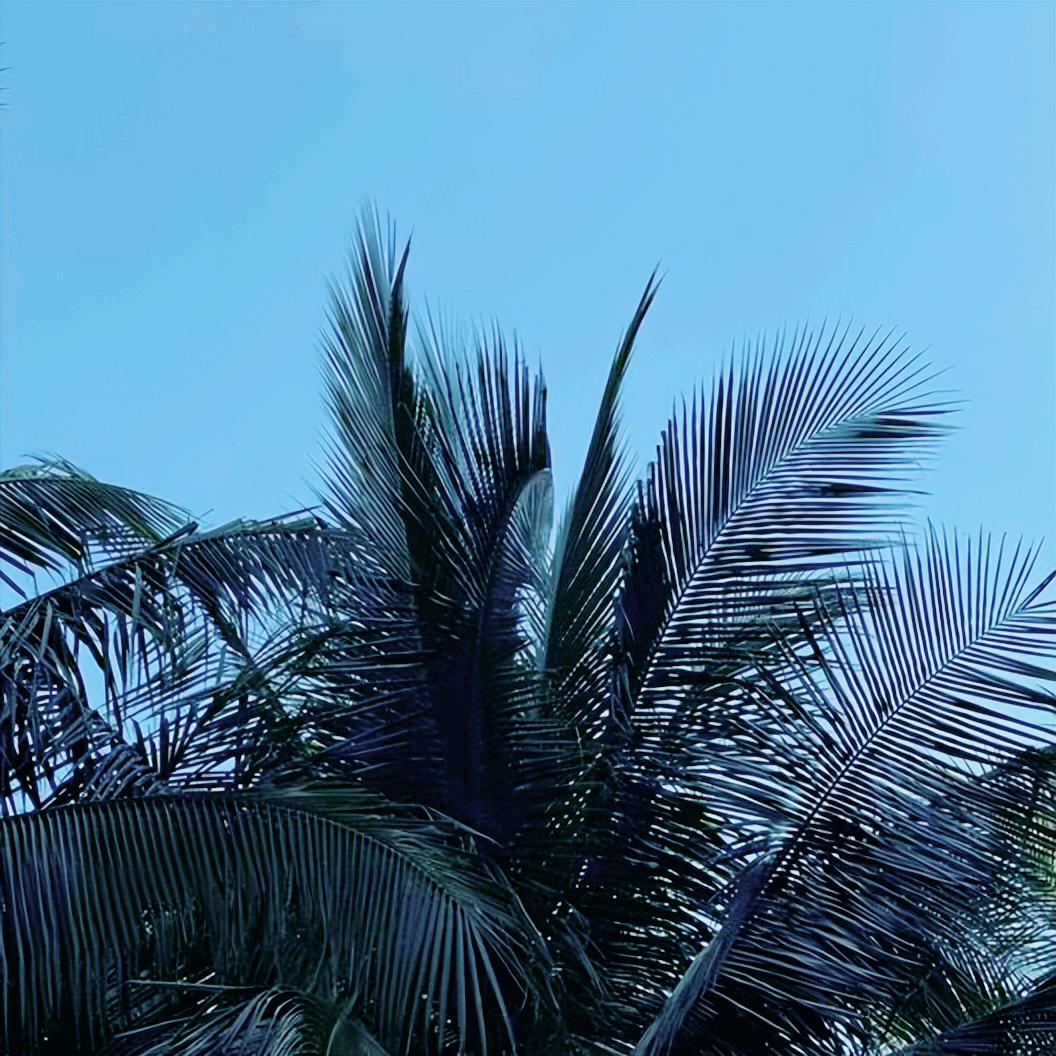 国务院安委会办公室就开展安全生产工作约谈辽宁5个城市   占约谈城市的23.8%