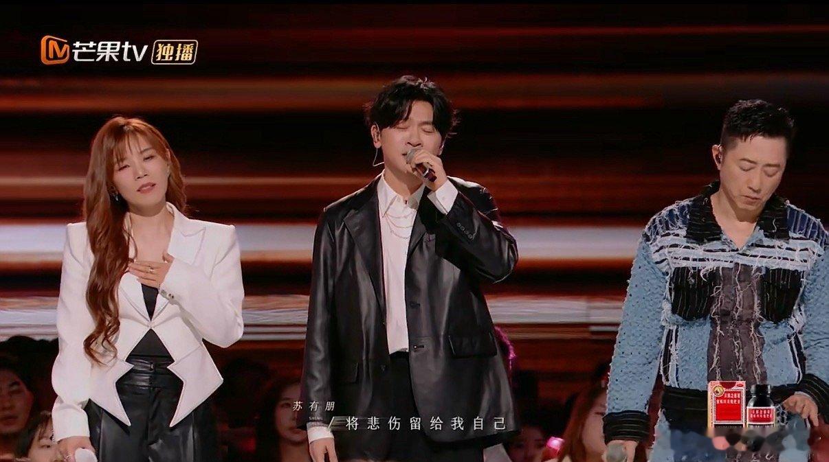 声生不息大合唱爱的箴言《声生不息》封神大合唱！苏有朋、李佳薇、庾澄庆等群星联手演