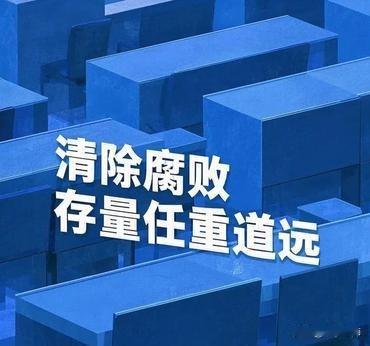 “
中纪委全会提出：“以更高标准更实举措推进全面从严治党”。
全会释放出党中央反