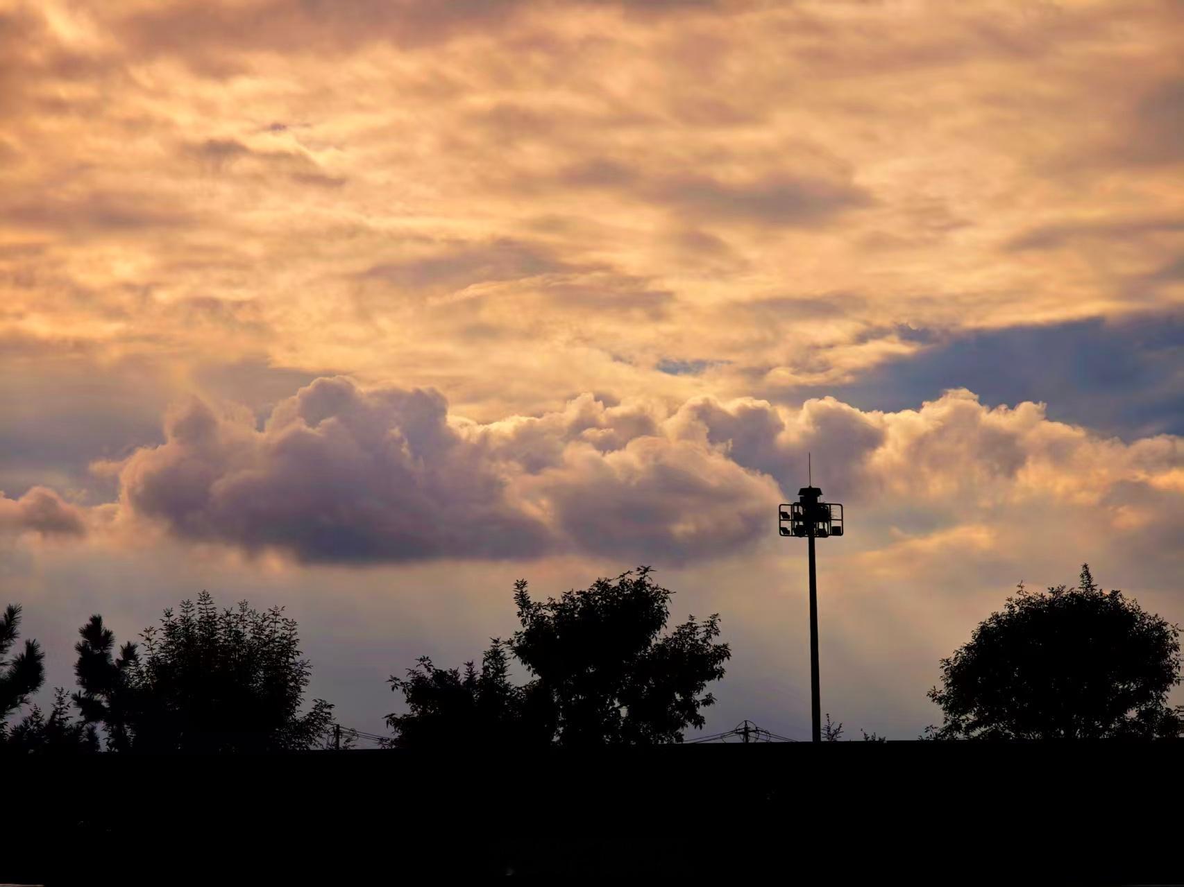 惊现丁达尔达芬奇达利园光线[喵喵] ​​​