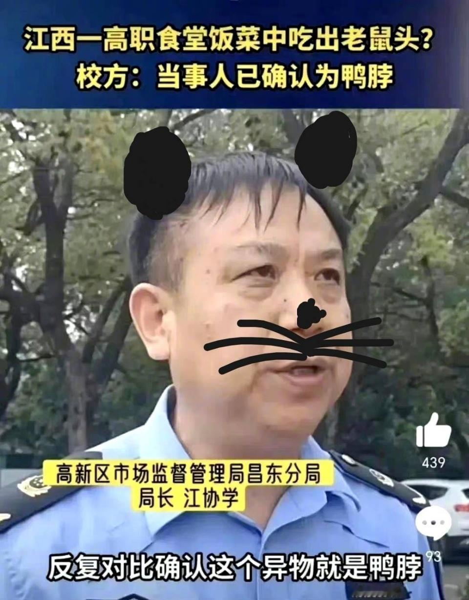 忽然想起这个鼠头鸭菊长了，不知道最后怎么处理的？