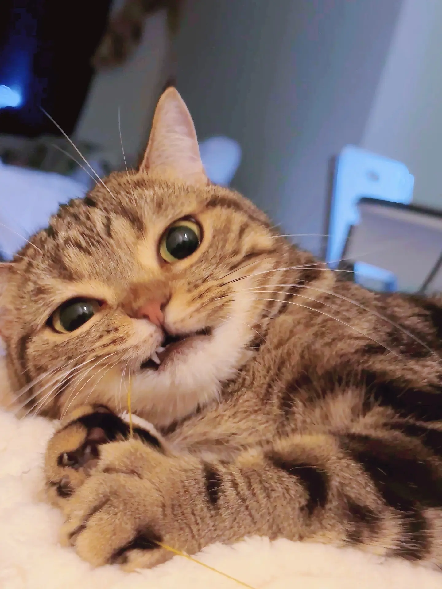 睡醒了么？看你一晚上了！！小懒猪！！