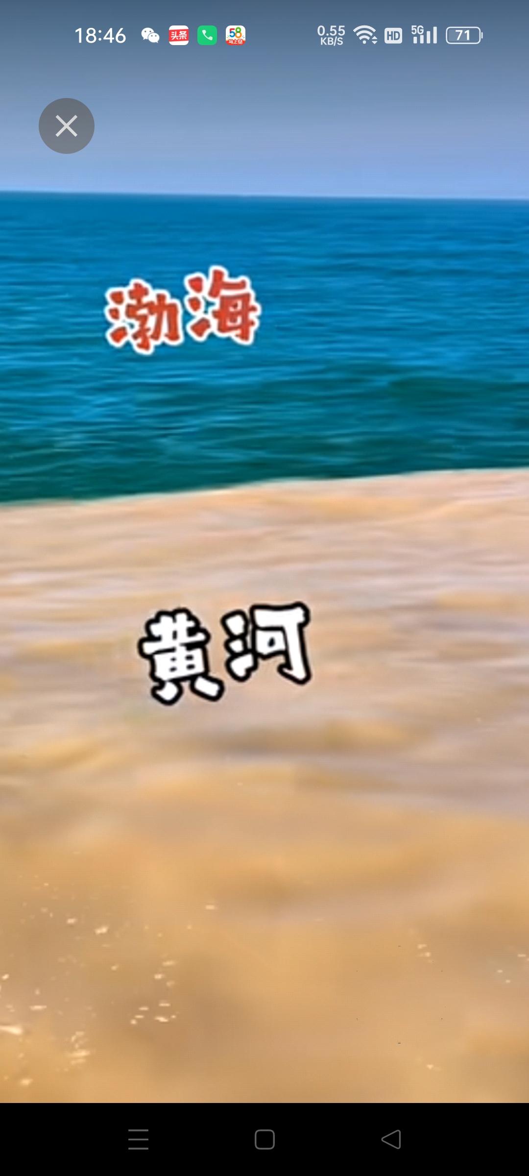 这几幅图是黄河与渤海的交接处，从图中可以看出，他们是不会相互融合在一起的，但是王