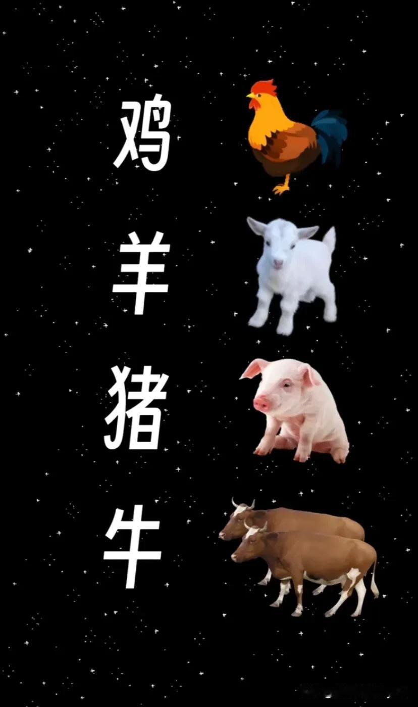 鸡，羊，猪，牛
打一成语