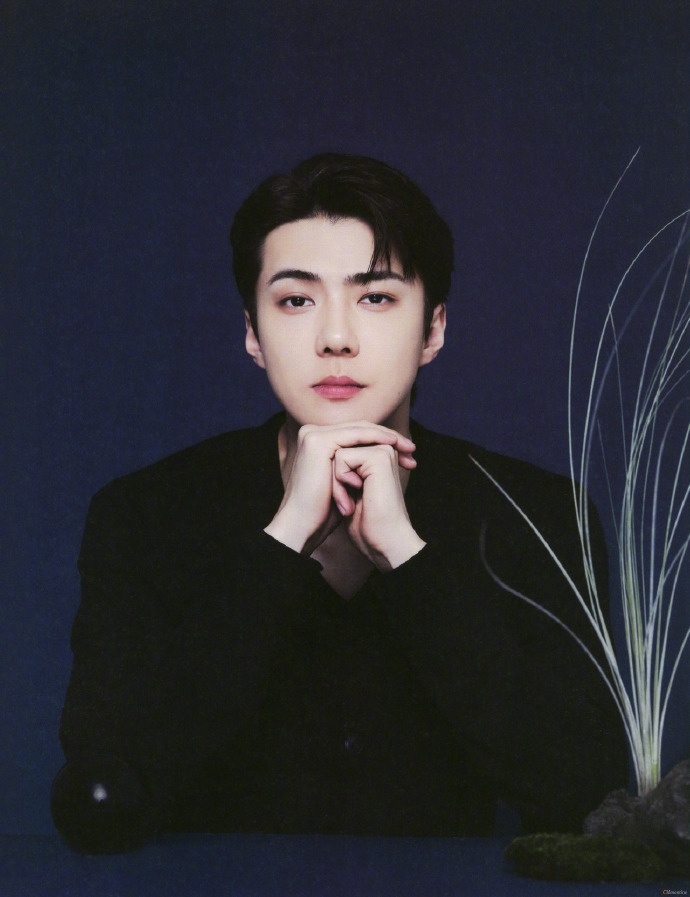 吴世勋如果这都不算爱？为了宠吴世勋，直接承包十几个城市的大屏梯媒痛车到处刷脸听说