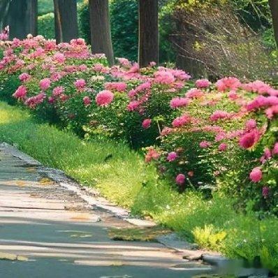 绿荫葱茏，九曲连波，亭台楼阁，好一幅江南水上园林美景 