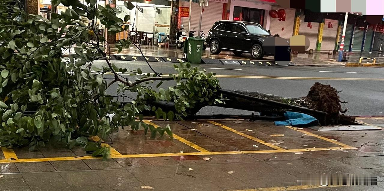 今天幸运的三件事：
1、今天的台风真大，早上起来，亲眼看到门口的树给吹倒了，幸运
