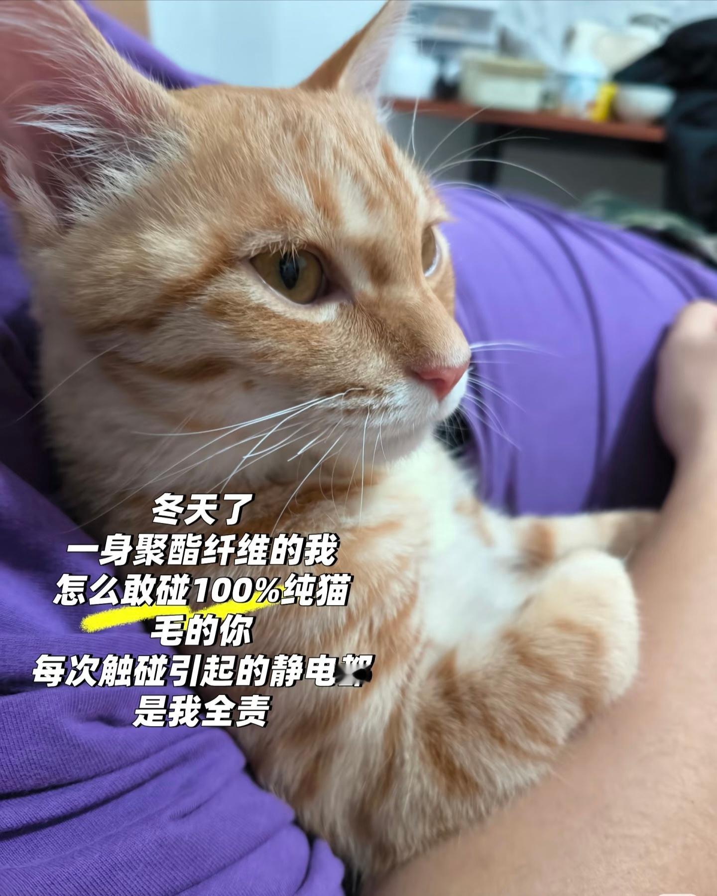 一身聚酯纤维的我怎么敢碰纯毛的你只有冬天你才知道什么叫做火花加闪电噼里啪啦的，哪