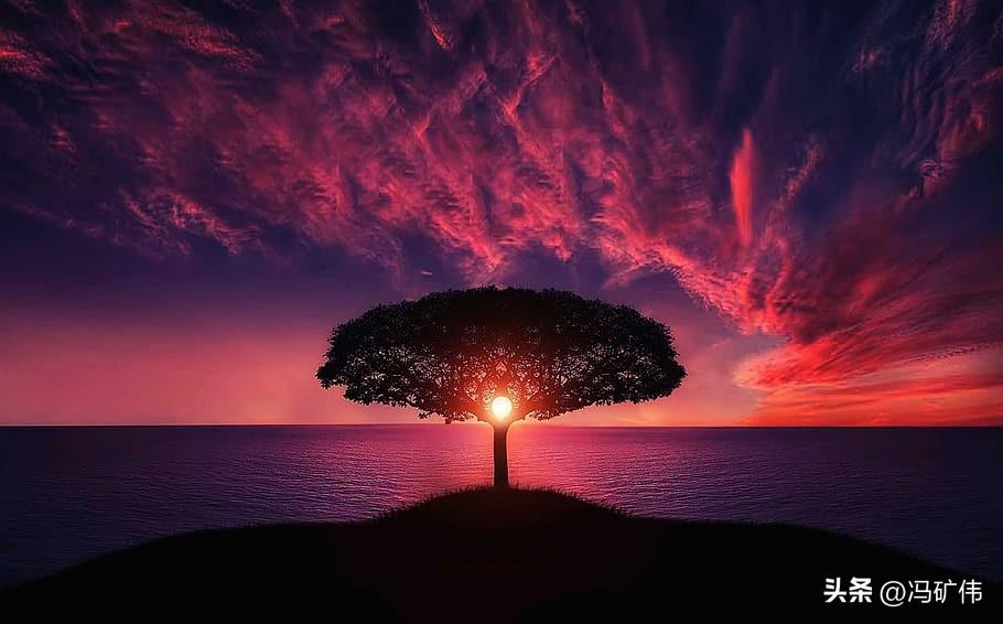 日线的量，放大了