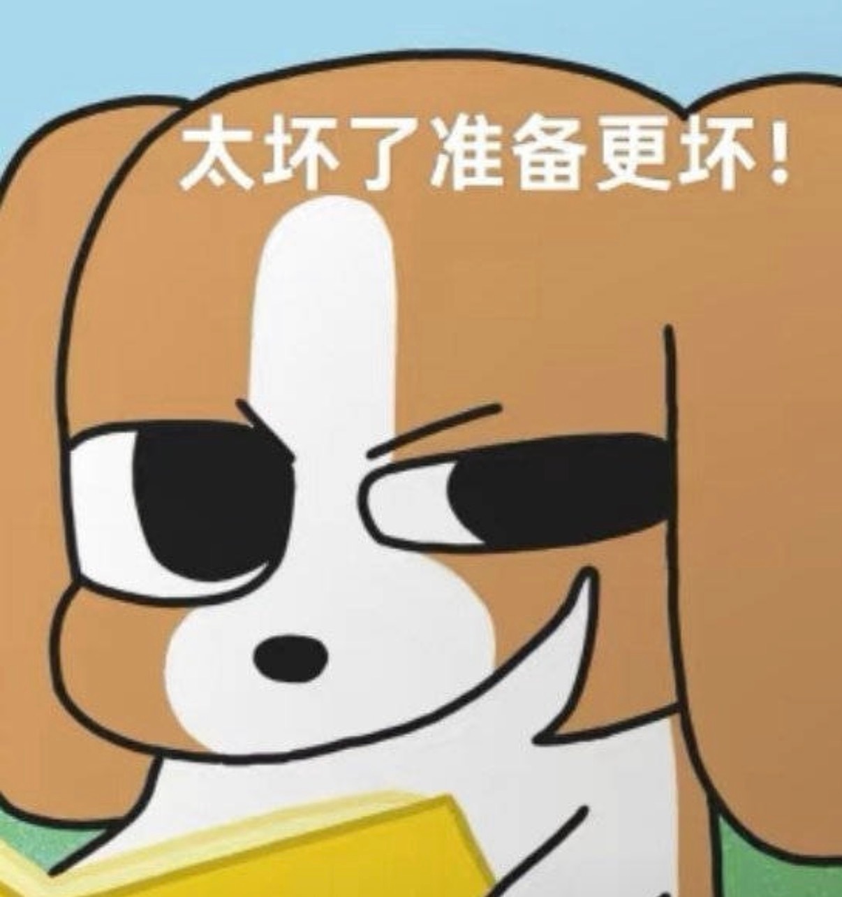 希望你的大托举的大solo粉丝能托举你们哈，本鼠毛仅代表我自己就不约了