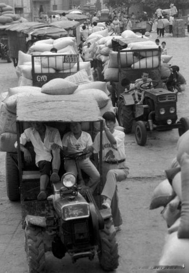 七十年代，农民踊跃交公粮的场景十分动人。每年粮食收割后，他们成群结队拉着粮食去收