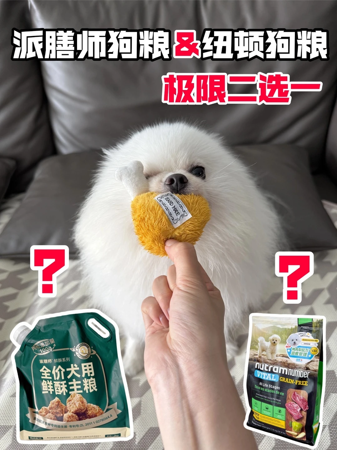 纽顿狗粮&派膳师狗粮，极限二选一