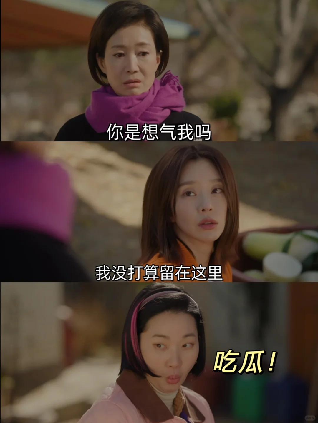 不装了，婆媳关系大反转❗