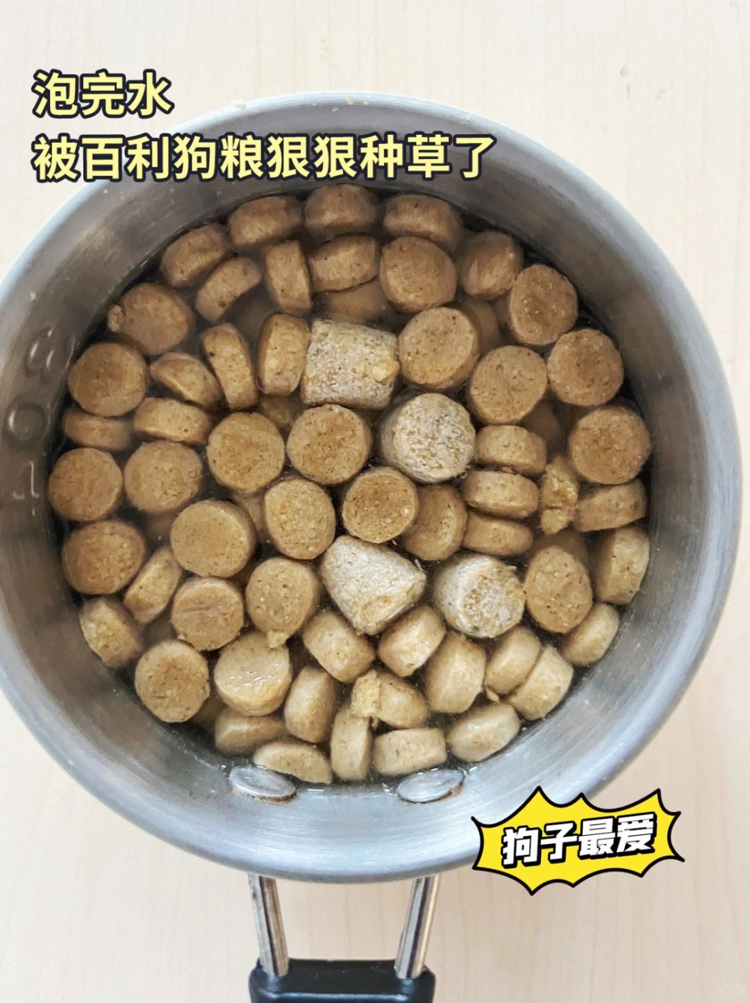 古牧也跟风一个——泡水实验测百利狗粮