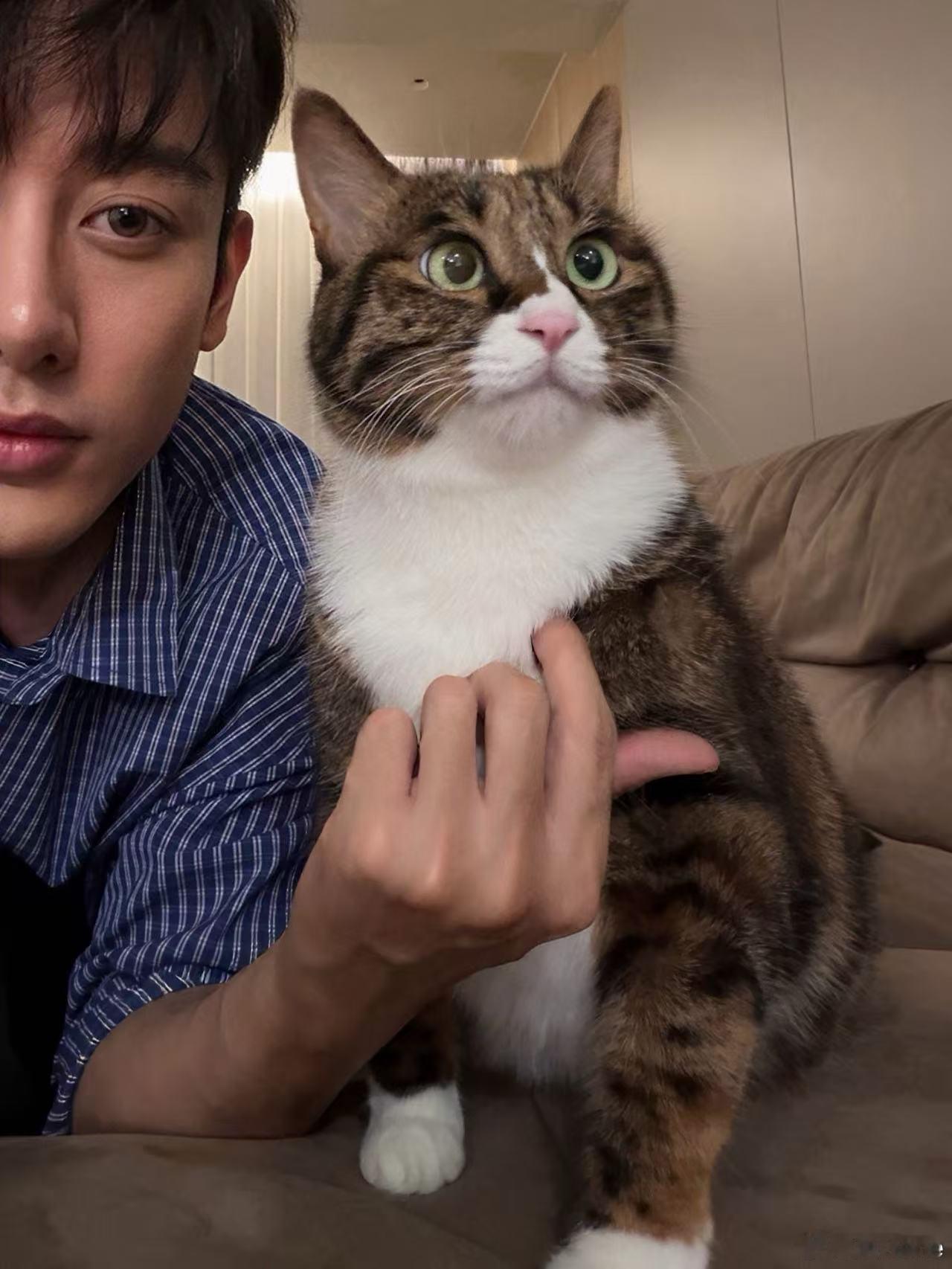 我的小猪咪 