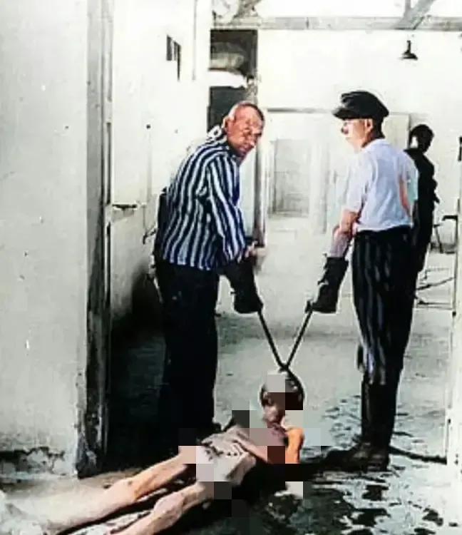 1943年，纳粹集中营中，令人不寒而栗的一幕，两名纳粹士兵拿着铁钳，不顾一切地将