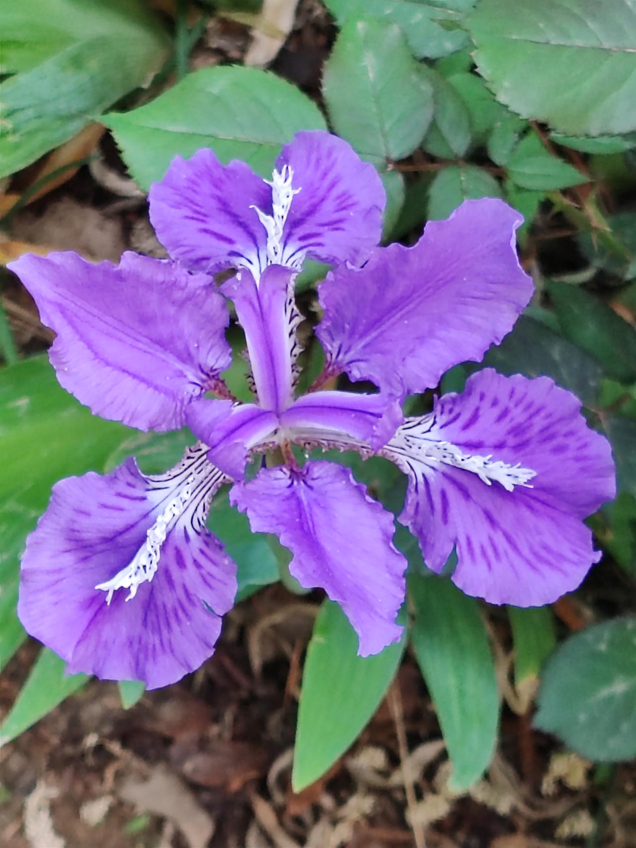 退了休就是高薪不如高寿，钱再多也是吃那点，穿那点，用那点。够吃够喝不比知足就是老
