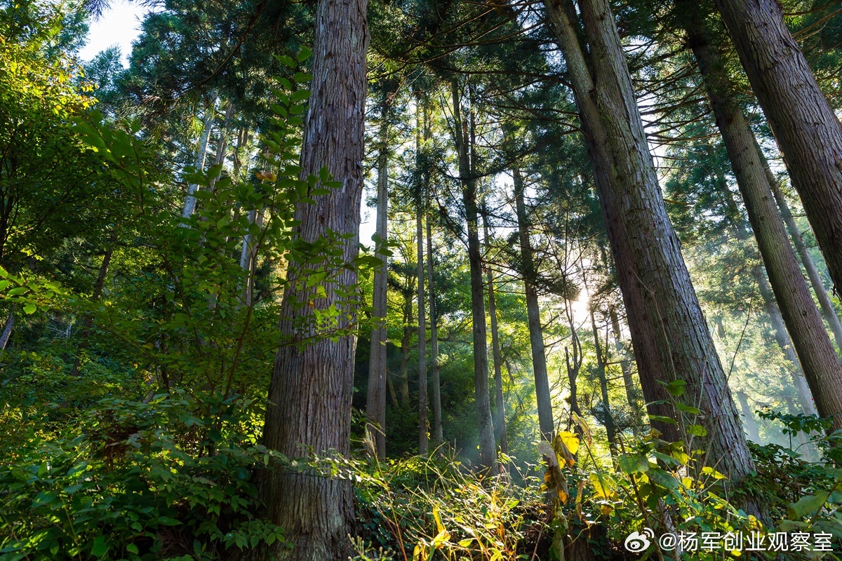 前段时间有人问我身边有没有宇树这样的好项目？他想投！我说当初它第一轮融资时，你会