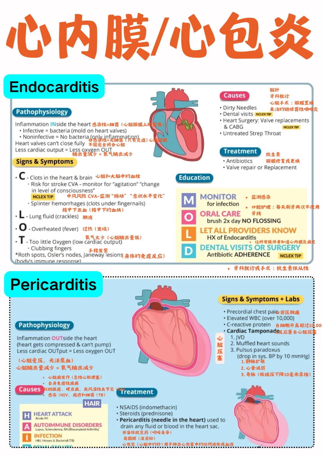 备考RN/心内膜和心包炎！！学！！单词