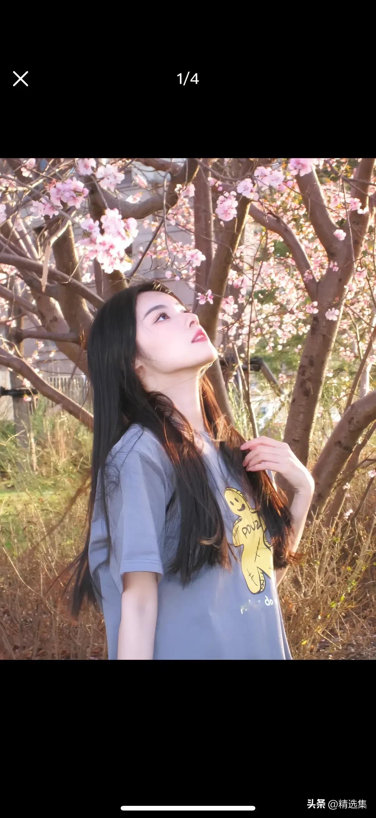 樱花树下，少女仰望，温柔时光