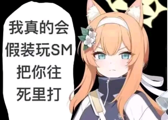 导了一下午，终于把视频导出来了报错的原因找到了：你把图片和视频一起导进新版本的P