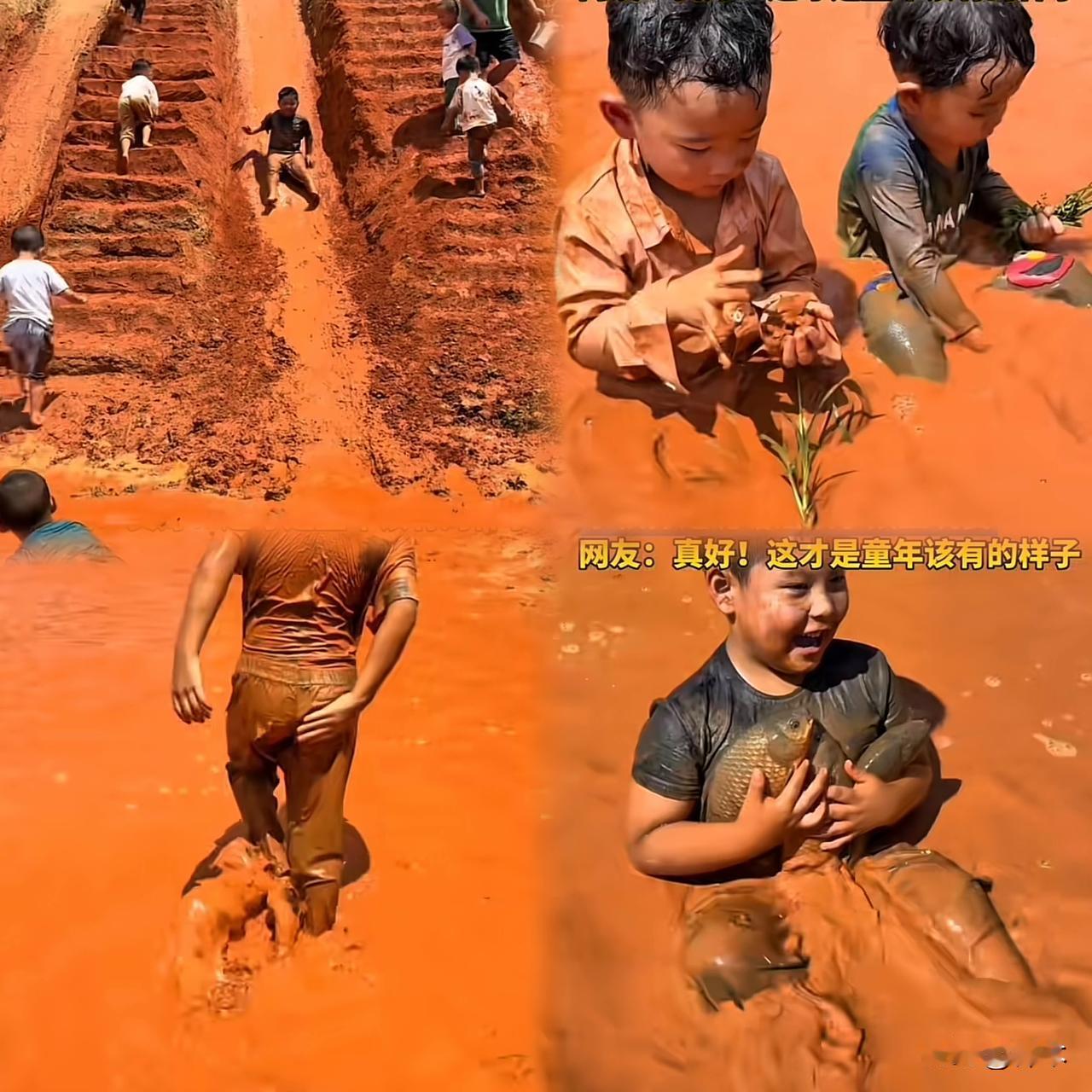 这才是幼儿园该有的样子！
云南临沧幼儿园的一节自然课，不仅让孩子尽兴。也让很多宝