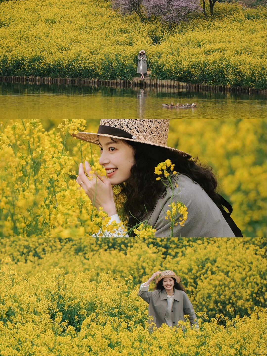 梅花树下的油菜花海，重庆这个地方也太美了！