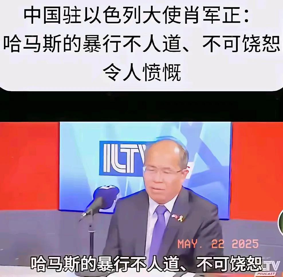 近日，驻以色列大使在当地一档电视节目中接受采访时强烈谴责了哈马斯的暴行，这是官方