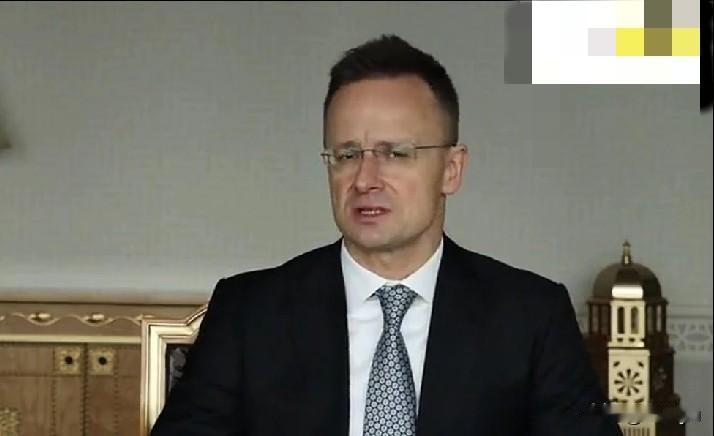 匈牙利外长西雅尔多称，俄美达成和平协议是乌克兰和平唯一出路。

西雅尔多：“我们