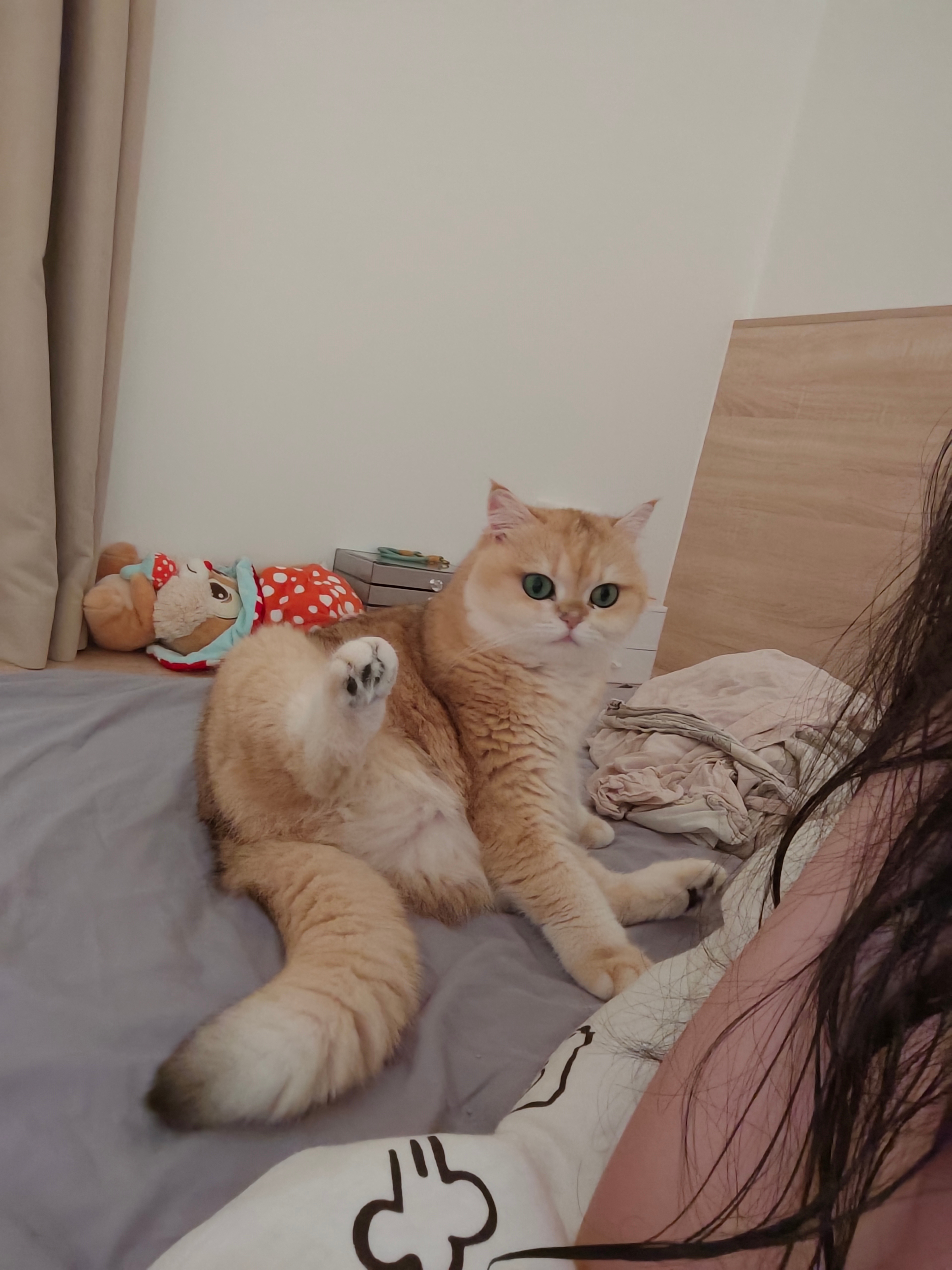 试试实况能不能动！ ​​​