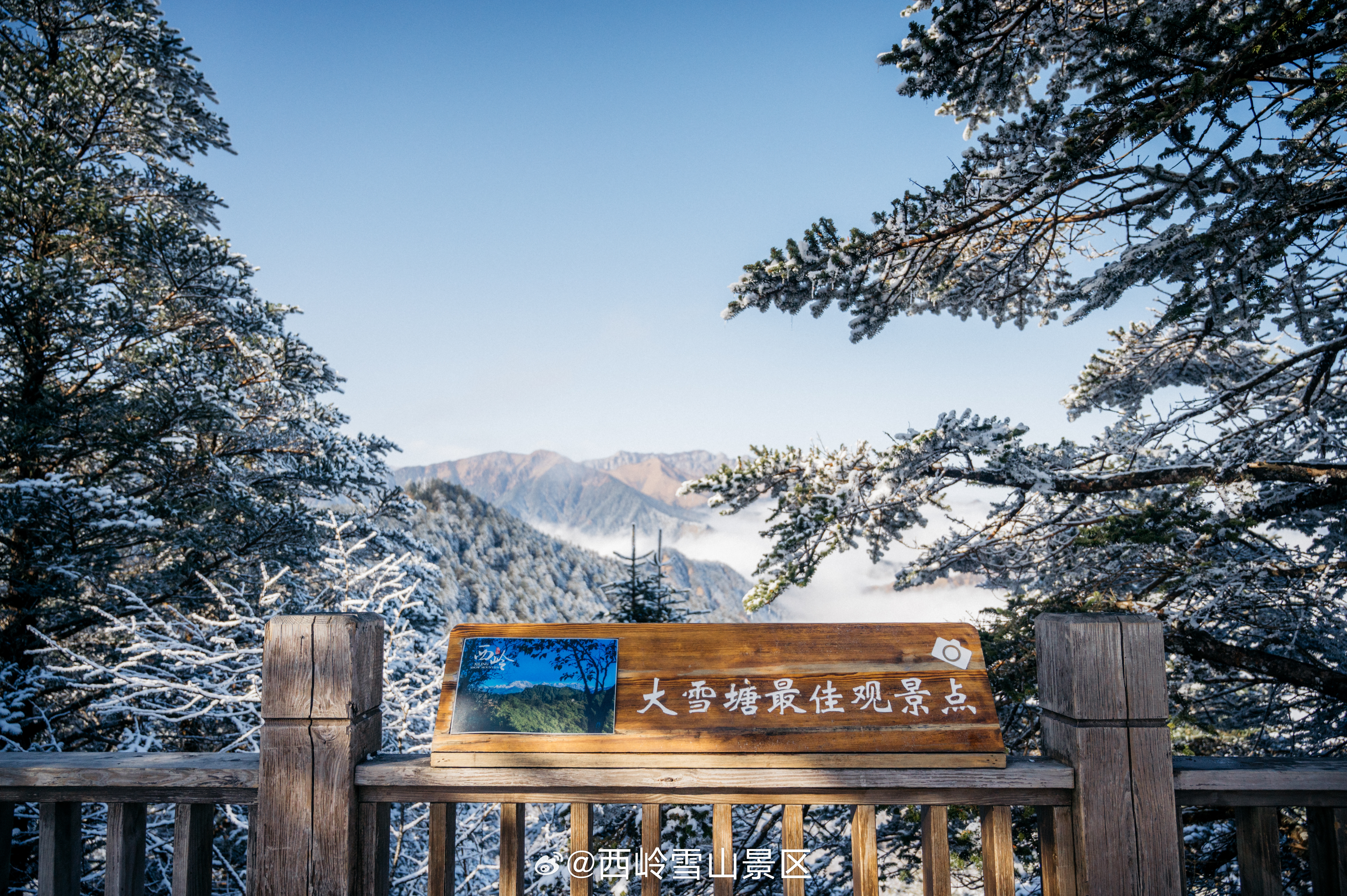 【西岭雪山冬日三重惊喜上线！青少年免票+雪地探宝+夜场幻境】❄️🎿2026年1