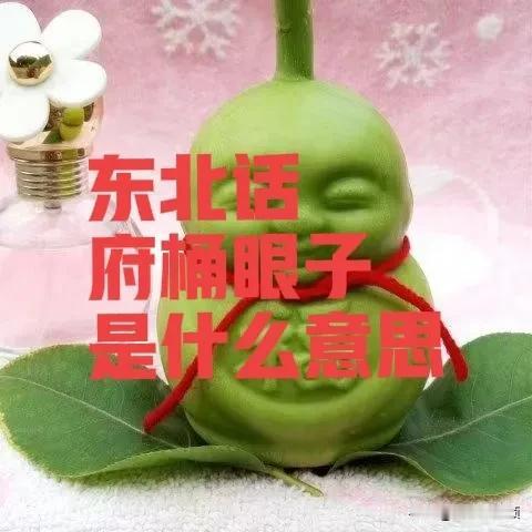 东北话“府桶眼子”是什么意思？每天学习一点点，今天的话题有点难度，“府桶眼子”你