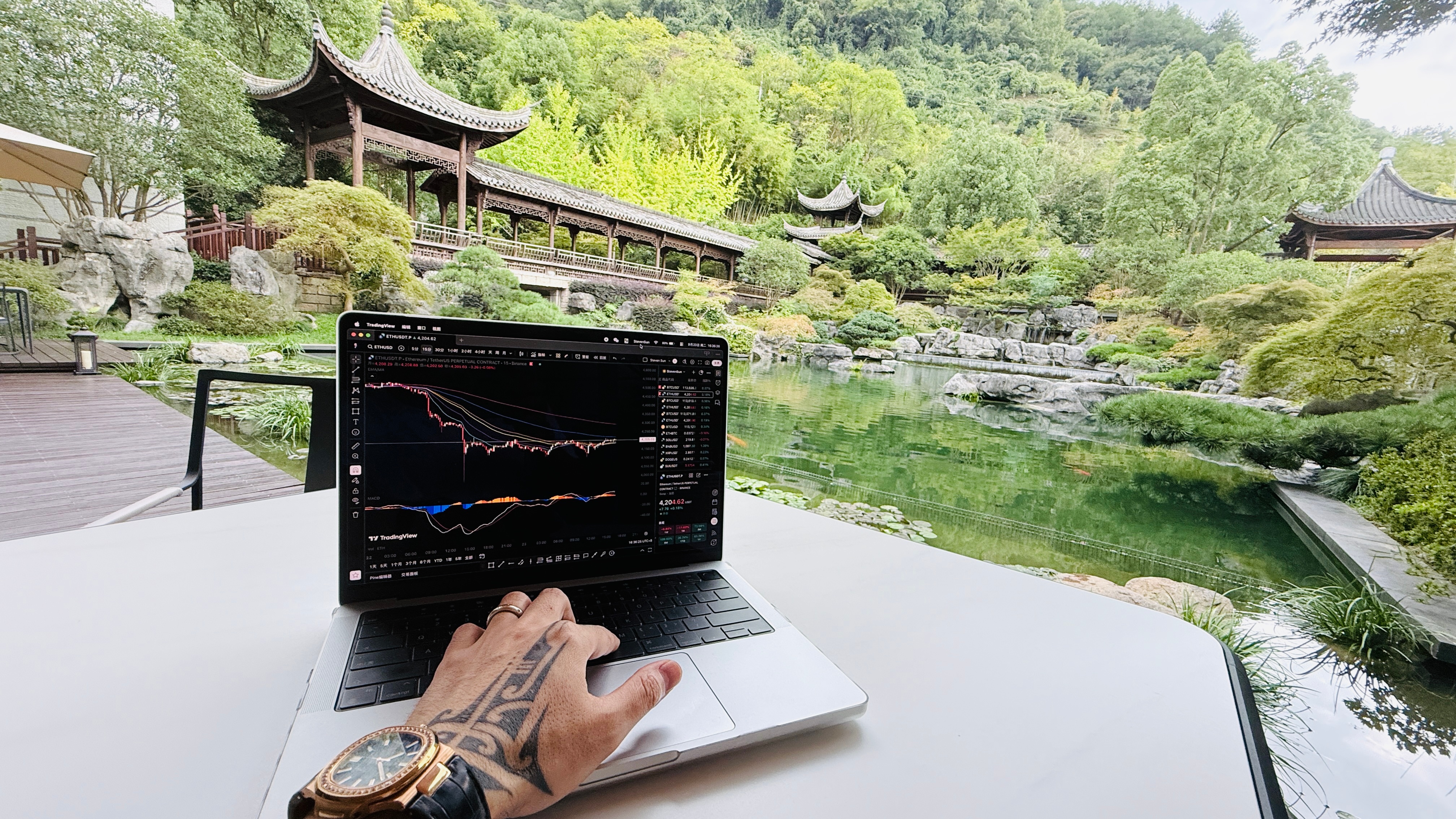 哪些人，在这种行情里一定会被淘汰不是看不懂行情的人。是看懂了，却仍然硬要参与的人