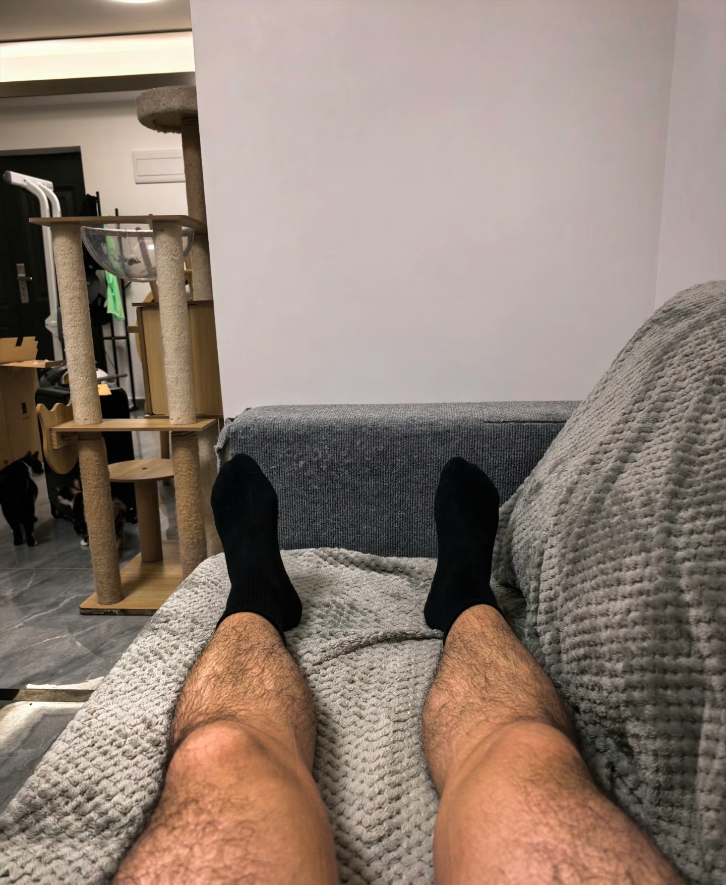 新人爆照 我先露个腿 