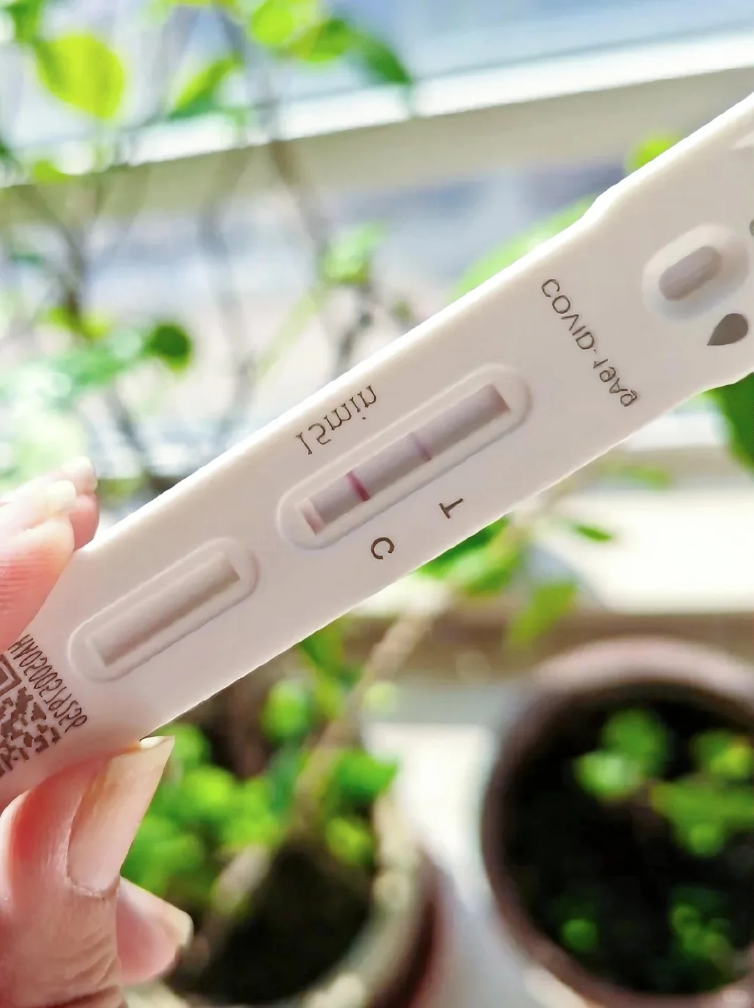 京新冠又开始了？身边同事🐏了一大半