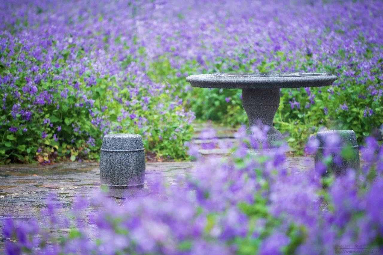 碰到一位学生家长对我态度冷淡，为何如此呢？他或许以为我们是中介，却不知我们在幕后