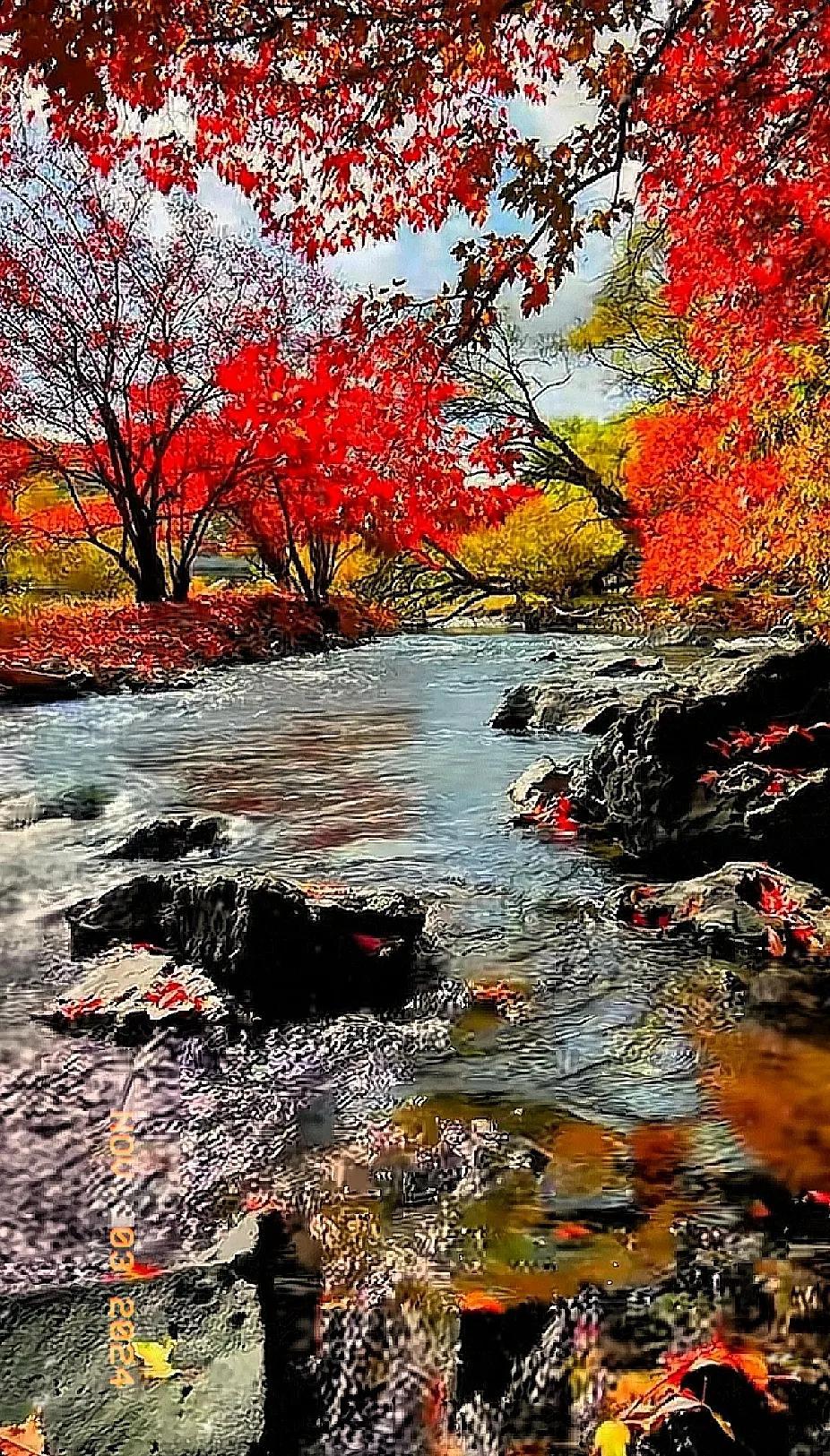 秋意渐浓，红叶满山，溪水潺潺，心旷神怡。🍂🍁🍂#散滿红叶看景色# #秋色河