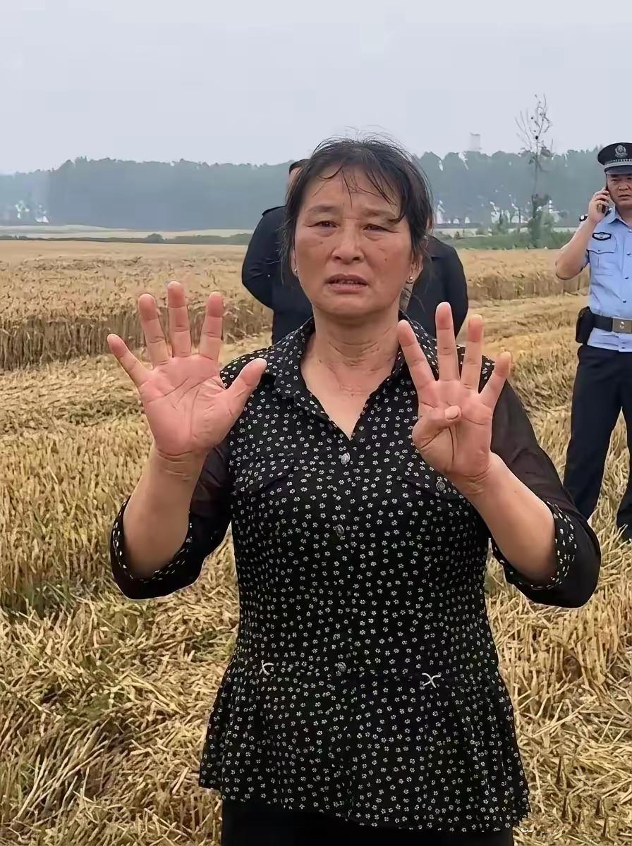 襄阳那位“割四赔五”的大妈，终于低头了。我真是憋不住想骂两句，人家佳宇两口子从河