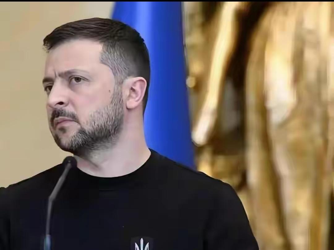 俄乌冲突第1459天！泽连斯基放话：没输，南部收复300平方公里
 
俄乌冲突已