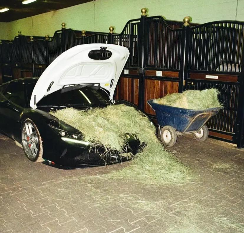 兄弟我真的看不起你，你尊重跑车吗
你今天敢用法拉利喂马，明天就敢用兰博基尼喂牛是