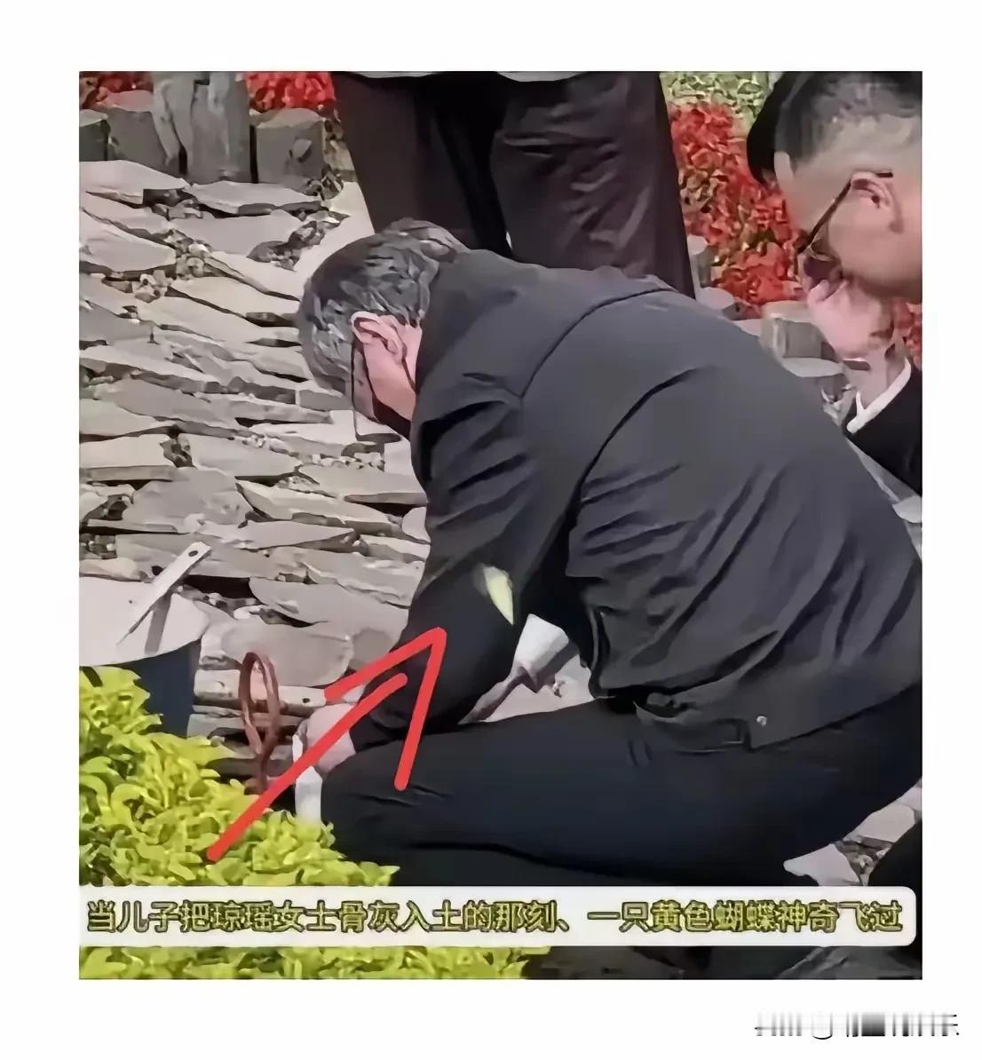 琼瑶，真的变成蝴蝶飞走了吗？
琼瑶儿子把母亲骨灰埋入土里那一刻，一只黄色的蝴蝶翩
