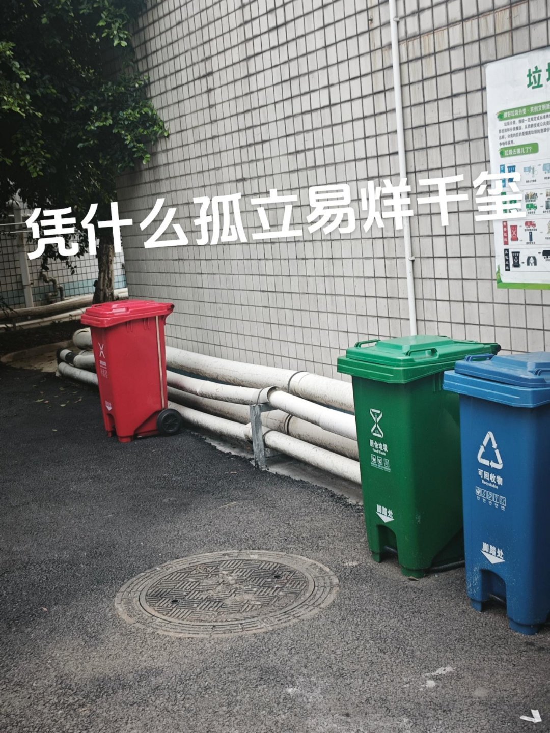 ↓因为易烊千玺要迁徙 ​​​