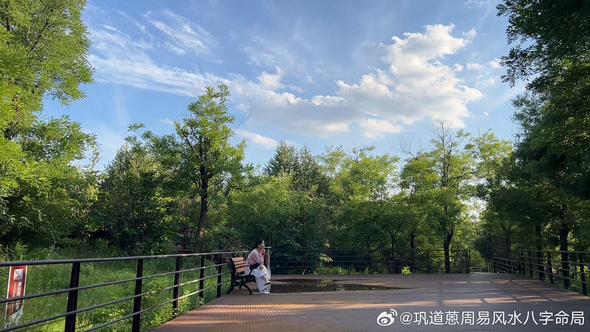 《踏莎行·九顶山晚眺》苏木丙午年端午节前九顶山石壁横霞，松涛卷雾，残阳漫染青峰柱