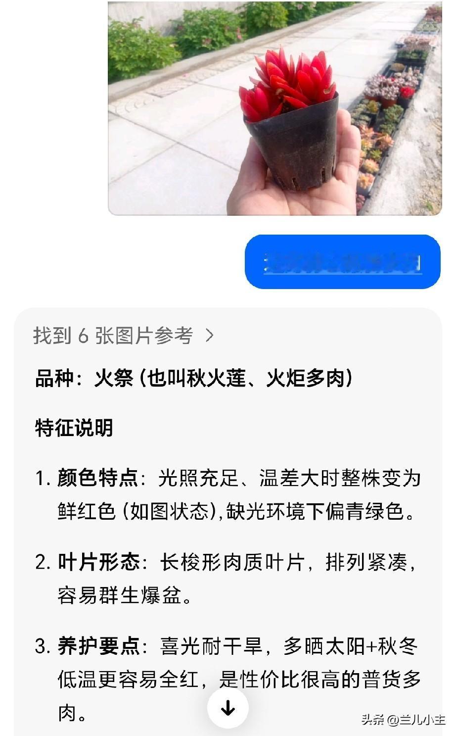 有了豆包，我感觉遇到难题也不怕。

今天我问豆包一个问题，我看到一个多肉很好看，