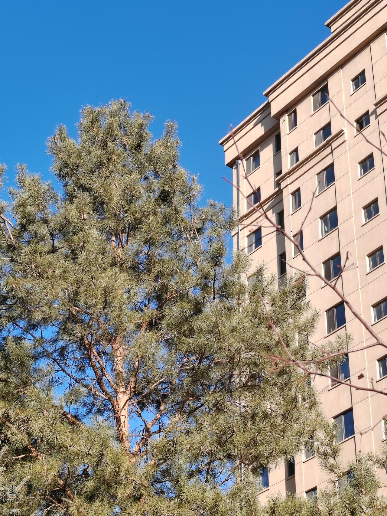 幸福，就是心里踏实、身边有个管着你的人、日子安稳，不慌不忙过好每一天。
 
人到