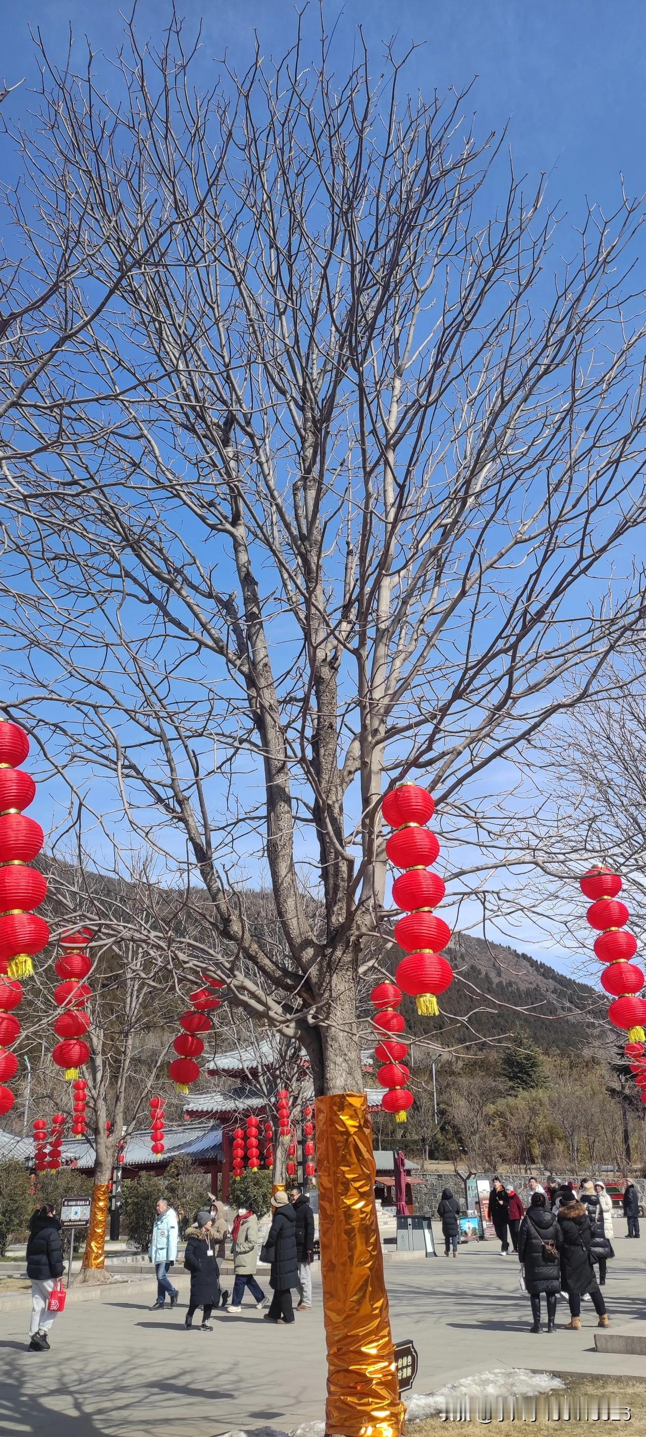 说出一首带“山”的诗句空山不见人，但闻人语响。