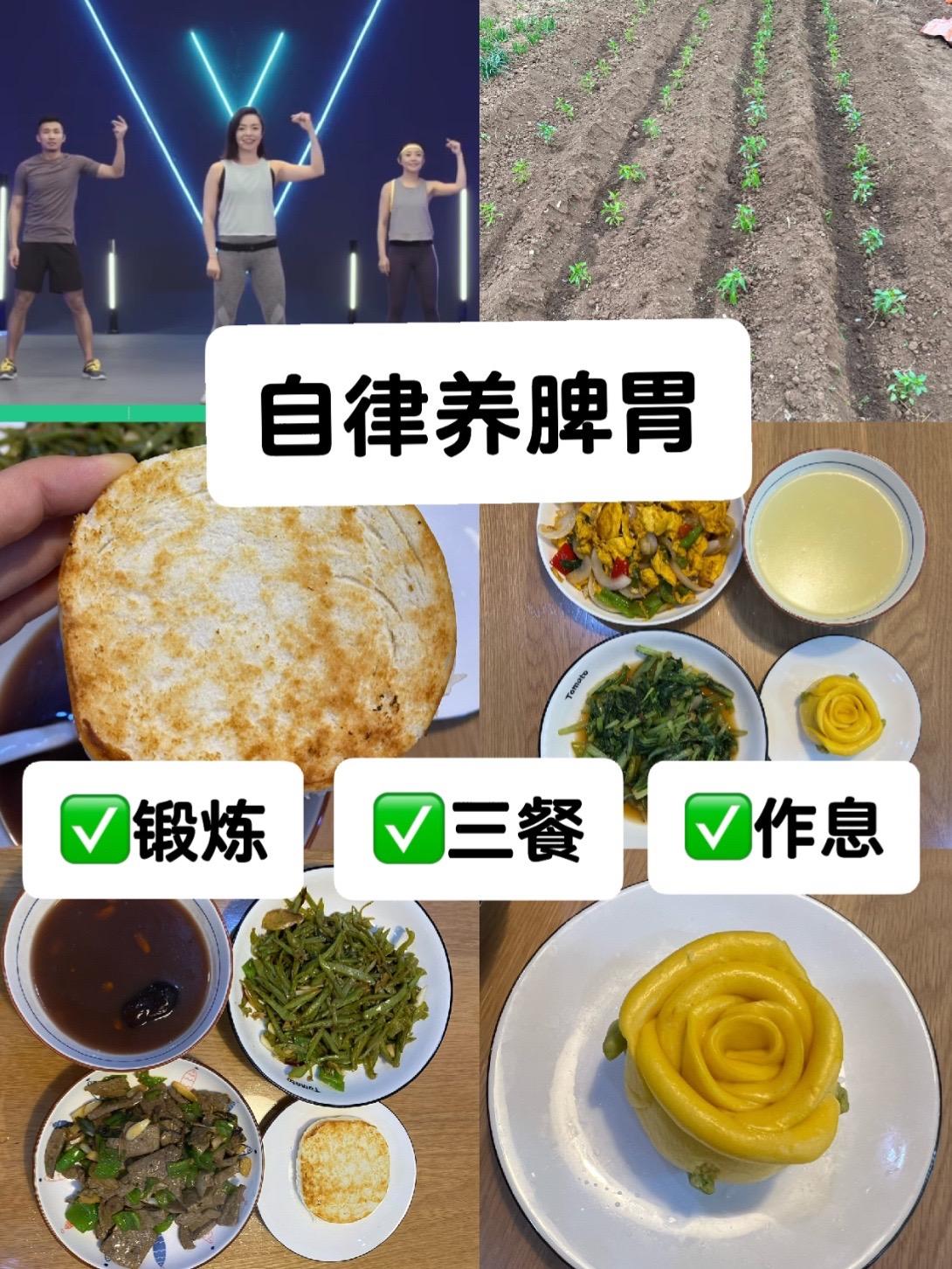 普通人如何坚持自律养脾胃。又是好好生活的一天。
我从刚开始的养胃，已经慢慢过渡到好好生活的模式。 
感谢每一次的经历，每一次的遇见。
反思，并积极向前，是唯一的出路。 
太阳若没有向你迎面照来，那你就朝它走去～～
路是对的，管它多久会到达呢～～享受一路风景即可～～
晚安。